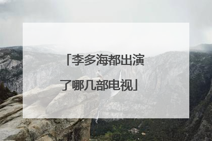 李多海都出演了哪几部电视