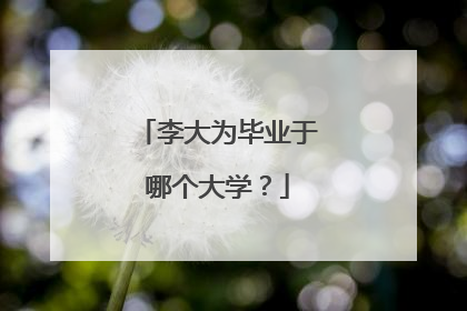 李大为毕业于哪个大学?