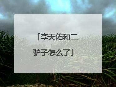 李天佑和二驴子怎么了