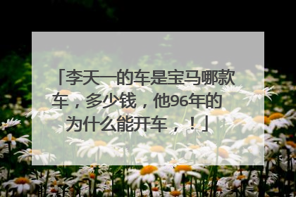李天一的车是宝马哪款车，多少钱，他96年的为什么能开车，！