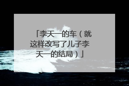 李天一的车(就这样改写了儿子李天一的结局)