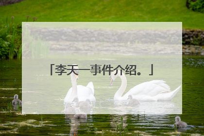 李天一事件介绍。