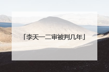 李天一二审被判几年