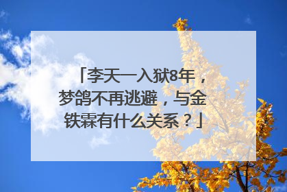 李天一入狱8年，梦鸽不再逃避，与金铁霖有什么关系？