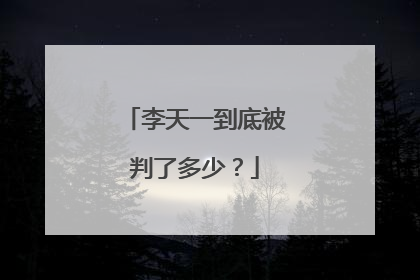 李天一到底被判了多少?