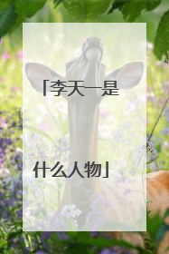 李天一是什么人物