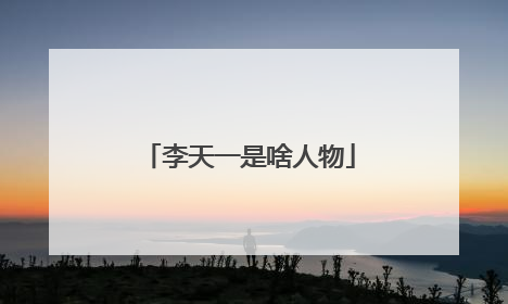 李天一是啥人物