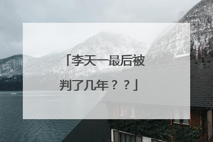 李天一最后被判了几年??