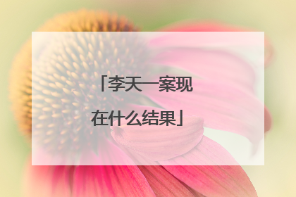 李天一案现在什么结果