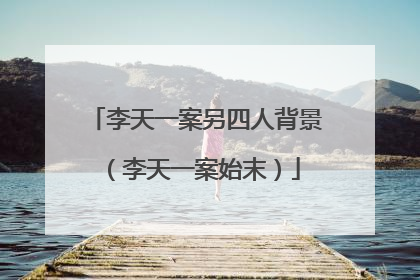 李天一案另四人背景(李天一案始末)