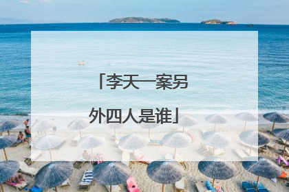 李天一案另外四人是谁