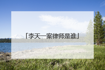 李天一案律师是谁