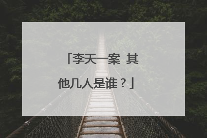 李天一案 其他几人是谁?