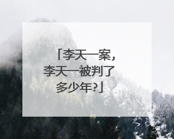 李天一案,李天一被判了多少年?