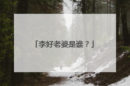 李好老婆是谁？