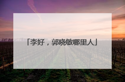 李好，郭晓敏哪里人