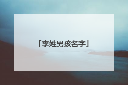 李姓男孩名字