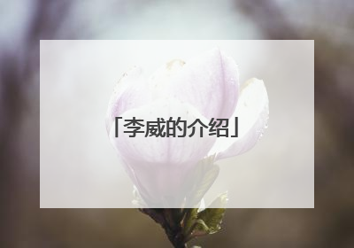 李威的介绍