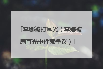 李娜被打耳光(李娜被扇耳光事件惹争议)