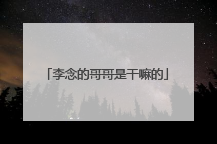 李念的哥哥是干嘛的
