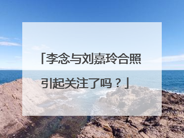 李念与刘嘉玲合照引起关注了吗?