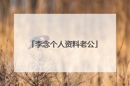 李念个人资料老公