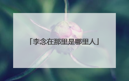 李念在那里是哪里人