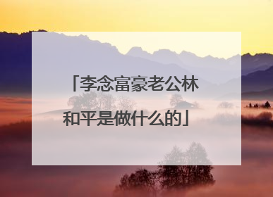 李念富豪老公林和平是做什么的