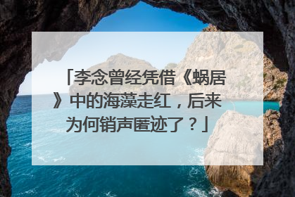 李念曾经凭借《蜗居》中的海藻走红,后来为何销声匿迹了?