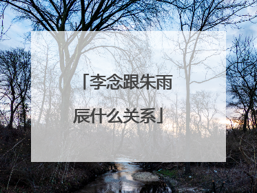 李念跟朱雨辰什么关系