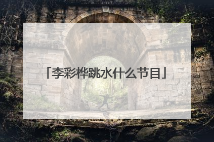 李彩桦跳水什么节目