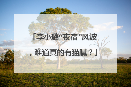 李小璐“夜宿”风波，难道真的有猫腻？