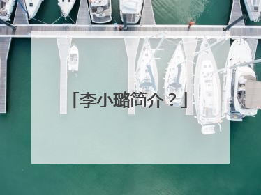 李小璐简介？
