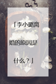 李小璐离婚的原因是什么?