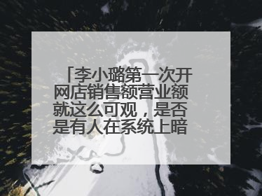 李小璐第一次开网店销售额营业额就这么可观,是否是有人在系统上暗自操作?