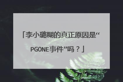 李小璐糊的真正原因是“PGONE事件”吗？