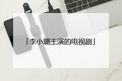 李小璐主演的电视剧