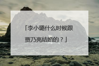 李小璐什么时候跟贾乃亮结婚的？