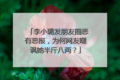 李小璐发朋友圈恶有恶报,为何网友嘲讽她半斤八两?