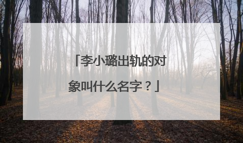 李小璐出轨的对象叫什么名字？