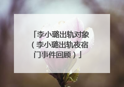 李小璐出轨对象（李小璐出轨夜宿门事件回顾）
