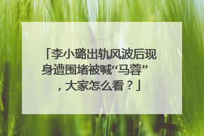 李小璐出轨风波后现身遭围堵被喊“马蓉”，大家怎么看？