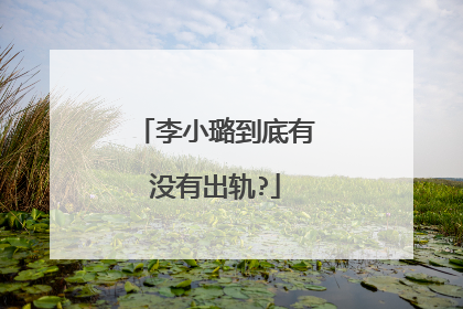 李小璐到底有没有出轨?