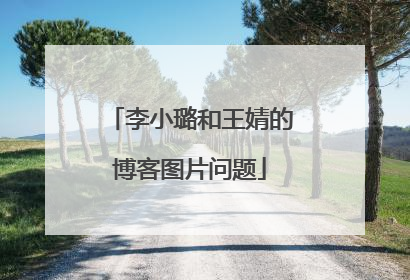 李小璐和王婧的博客图片问题