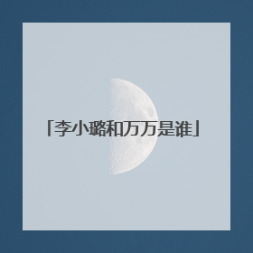 李小璐和万万是谁