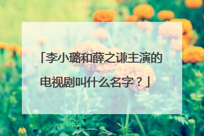 李小璐和薛之谦主演的电视剧叫什么名字?