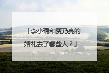 李小璐和贾乃亮的婚礼去了哪些人?