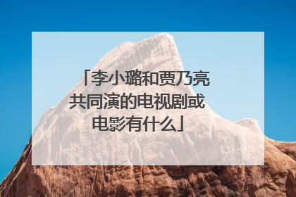 李小璐和贾乃亮共同演的电视剧或电影有什么