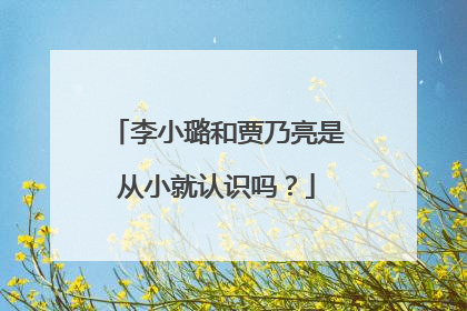 李小璐和贾乃亮是从小就认识吗?