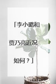 李小璐和贾乃亮近况如何?